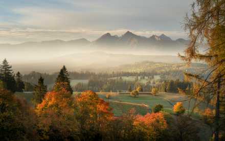 Obrázok pre Lapšanka v jeseni 3