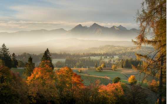 Obrázok pre Lapšanka v jeseni 2